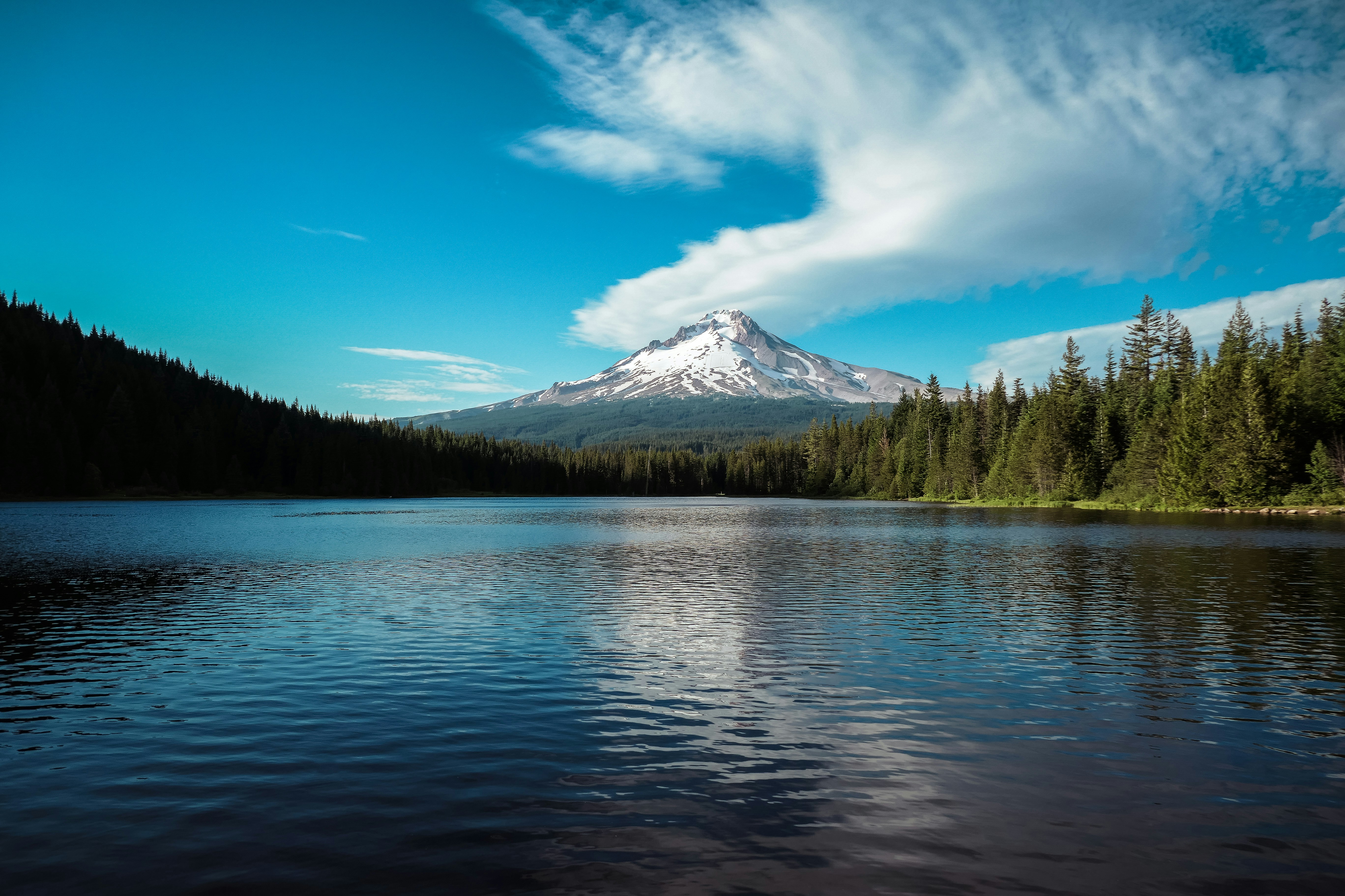 Oregon Image