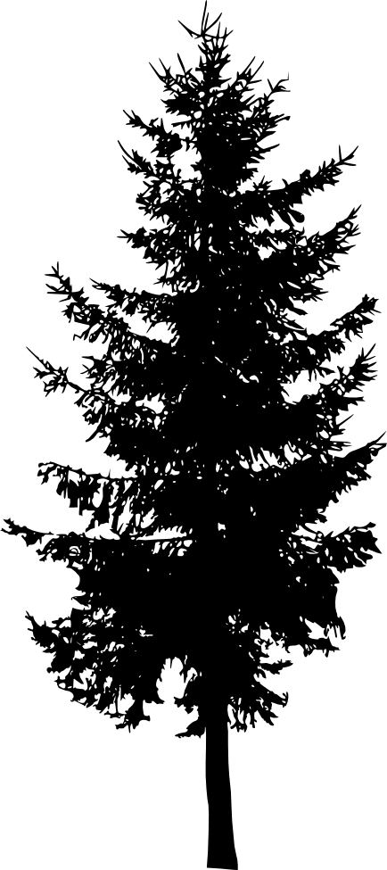 Tree Image